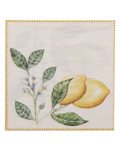 Paper napkins 33x33 cm (20) - pack(20)