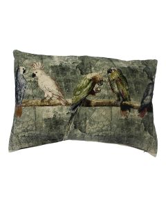 big cushion velvet charming parakeets and cockatoos 40x60cm