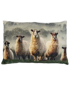 big cushion velvet sheep in grass 40x60cm
