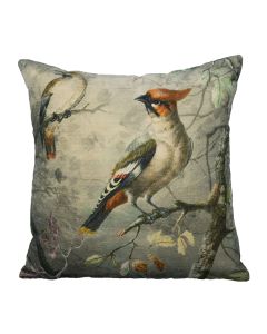cushion velvet charming crested bird 45x45cm