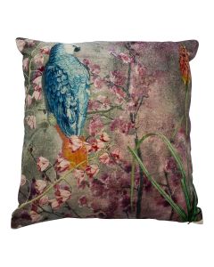 cushion velvet charming parrot blue pink 45x45cm