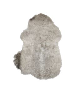 fur lamb slavic melange 60-70cm (ovis aries)
