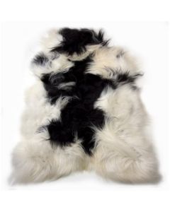 Fur sheep iceland colourful 100-110cm (ovis aries)