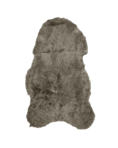 Fur sheep iceland shaved taupe 100-110cm (ovis aries)