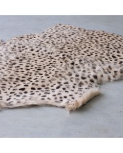 fur goat cheetah 60x90cm (capra aegagrus hircus)