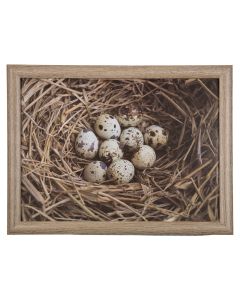 laptray eggs in nest 43cm