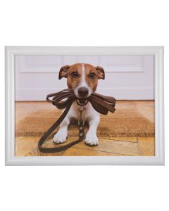 laptray humor jack russell 43cm
