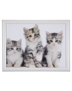 Laptray kittens 43cm