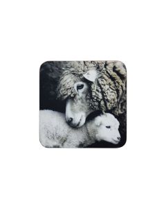 coaster sheep and lamb 10x10cm (6)