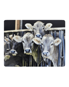 placemat calf in stable 30x40cm (4)