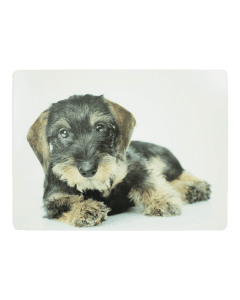 placemat dachshund 30x40cm (4)