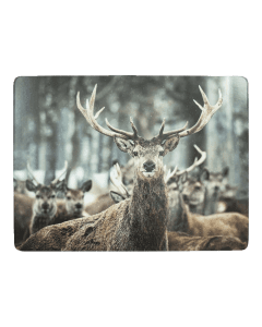 placemat winter deer 30x40cm (4)