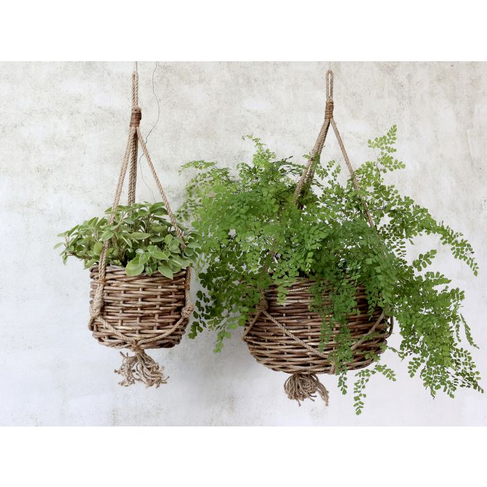 Basket for hanging