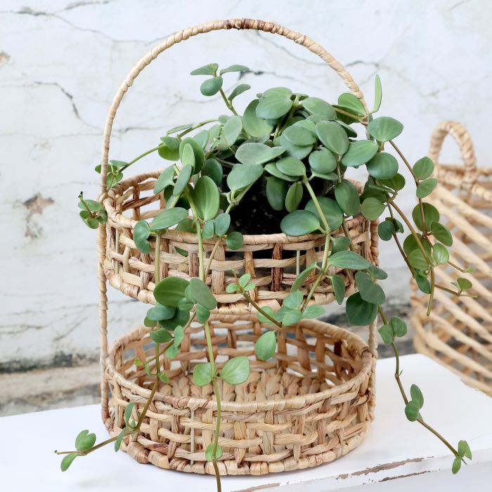 Centrepiece w. 2 baskets