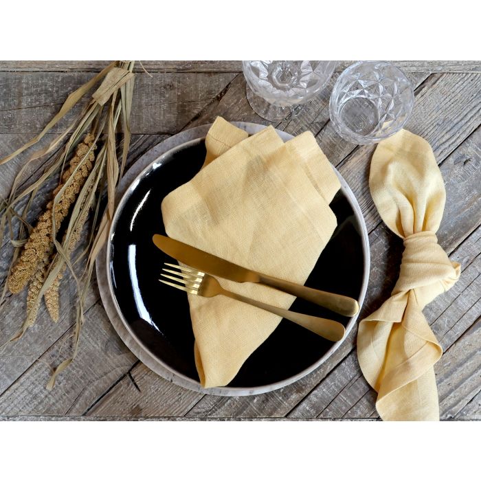 Cloth Napkin in linen set of 4