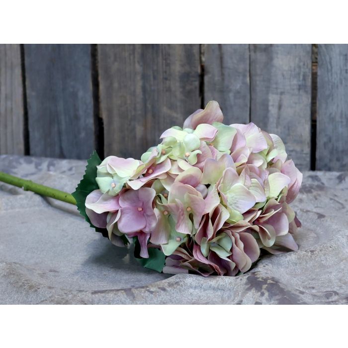 Fleur Hydrangea w. leaves