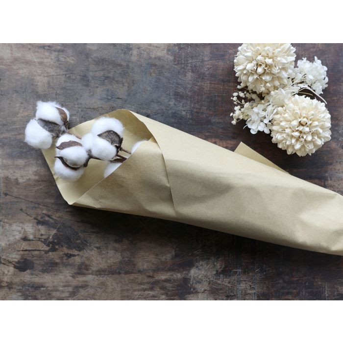 Fleur dried Cotton Flowers w. 10 cotton balls in brown paper