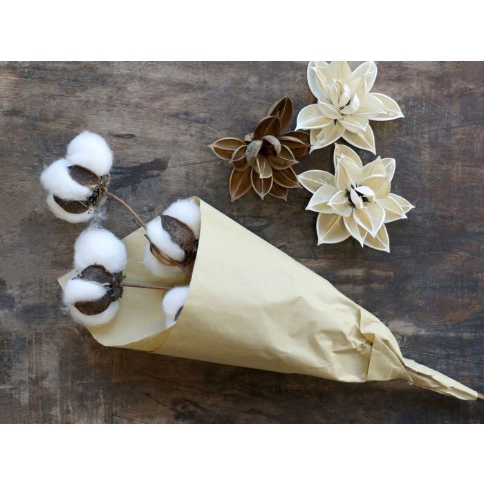 Fleur dried Cotton Flowers in brown paper