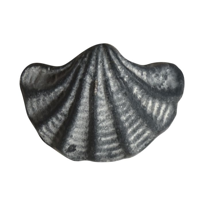 Knob shell