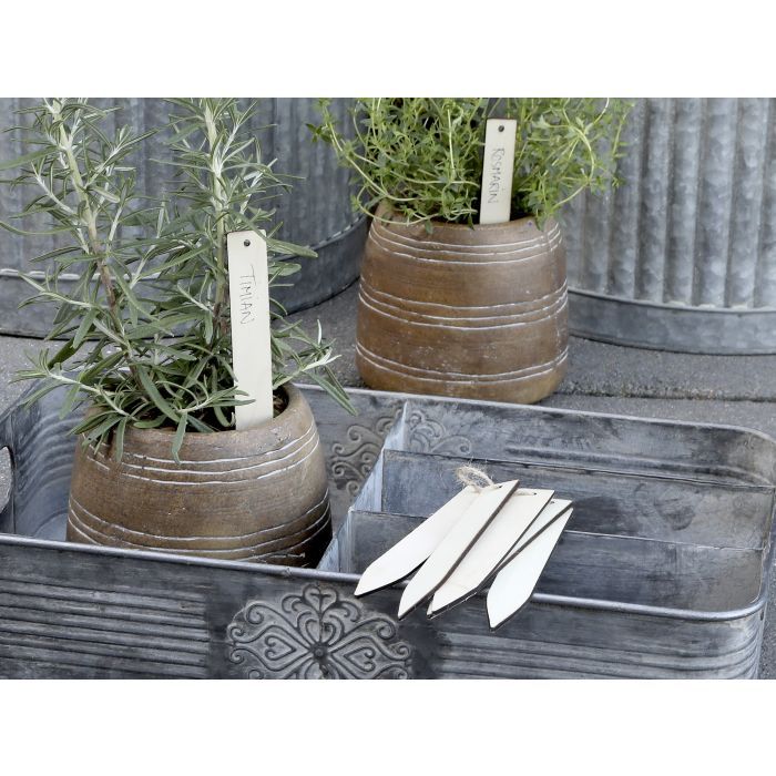 Plant Marker set of 5