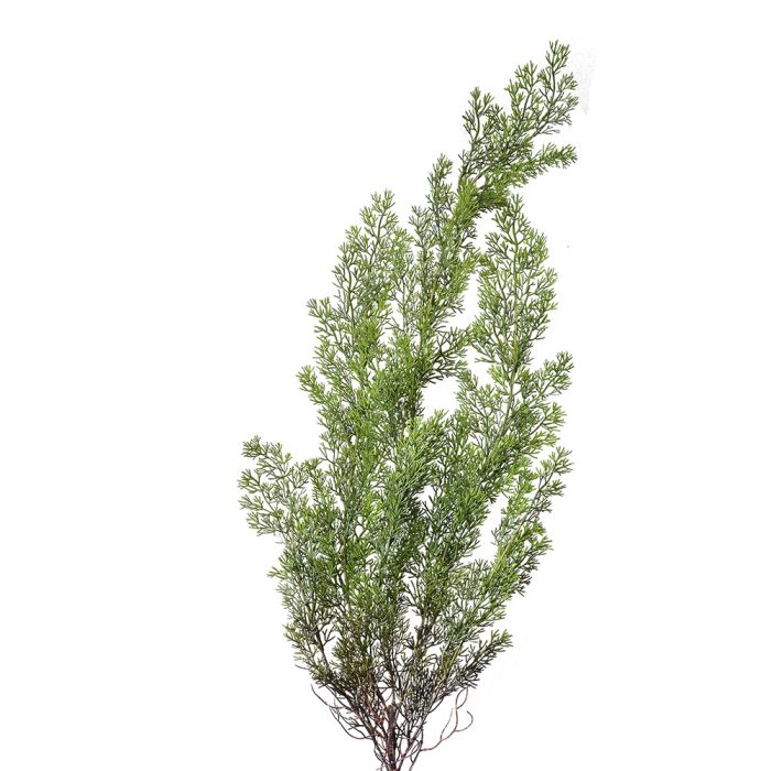 Decoration Cypress branch 10x10x100 cm - pcs