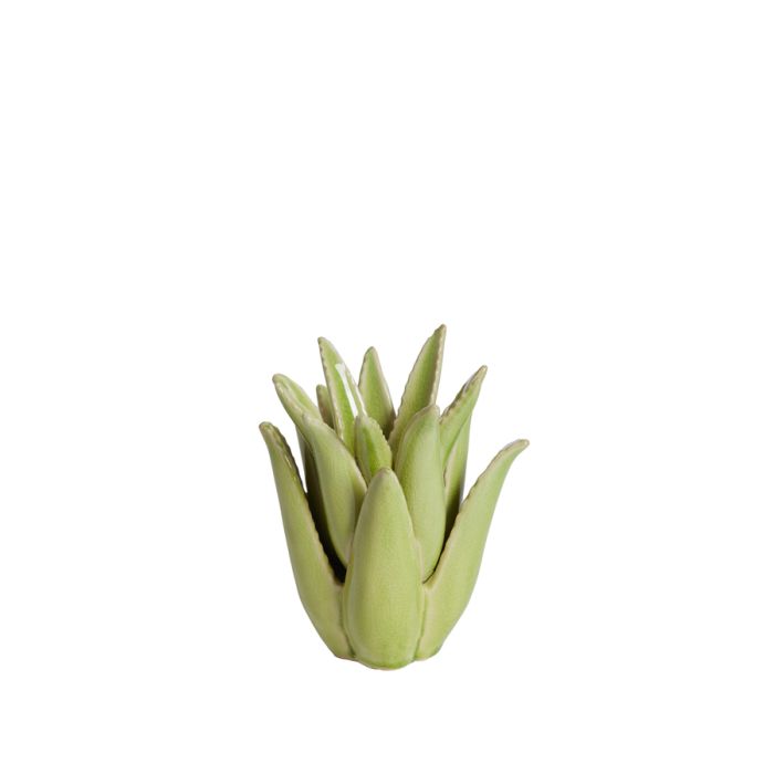 Candle stick Ø13x16 cm CACTUS ceramics light green