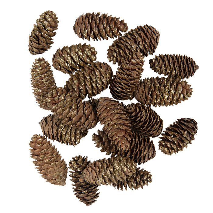 Decoration pine cones (15) ? 3x7 cm - set (15)