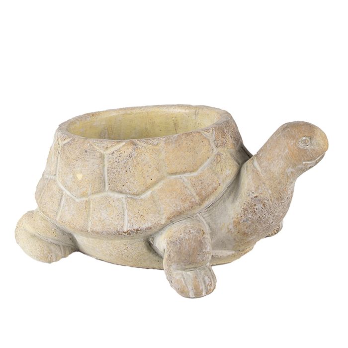 Flowerpot turtle Ø 22x16x10 cm - pcs