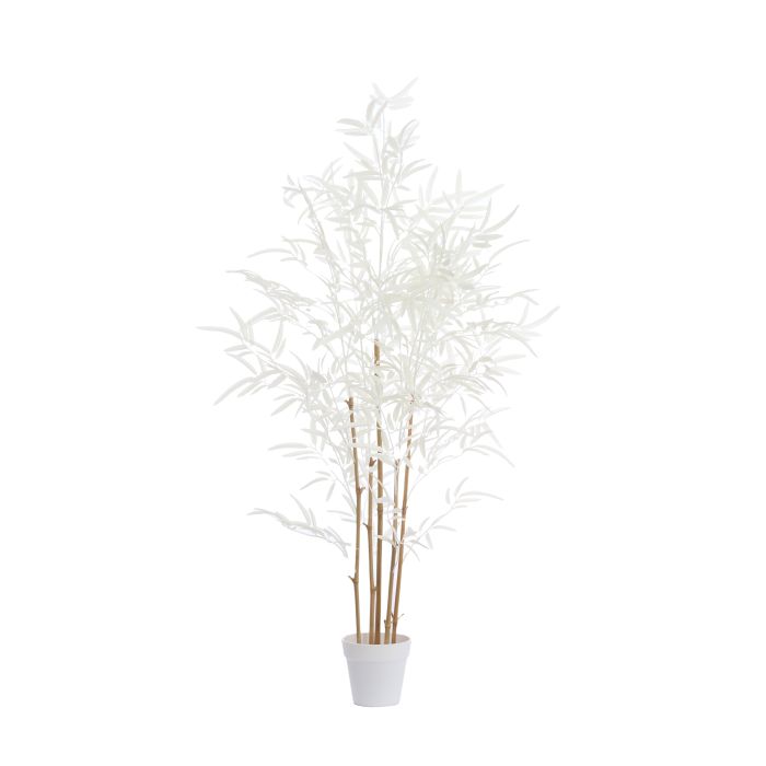 Potted ornament 70x60x120 cm BAMBOO natural+cream