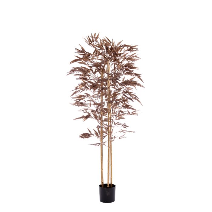 Potted ornament 180x100x180 cm BAMBOO metallic dark bronze