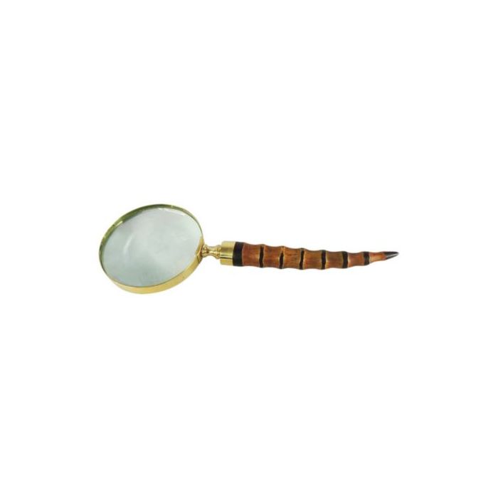 Gold magnifying glass brown
