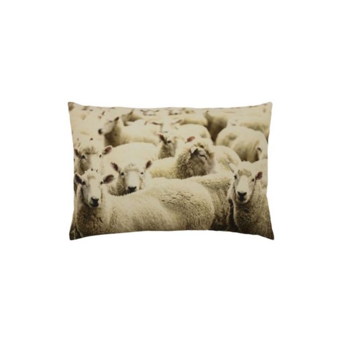 canvas cushion sheep 40x60cm