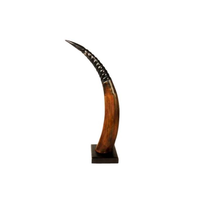 Horn on wood rib 65cm (bubalus bubalis)