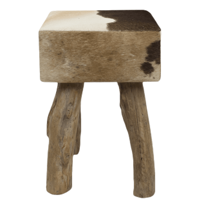 stool cow dark brown square 45cm (bos taurus taurus)
