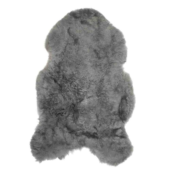 Fur sheep iceland shaved grey 100-110cm (ovis aries)