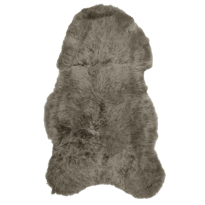 Fur sheep iceland shaved taupe 100-110cm (ovis aries)