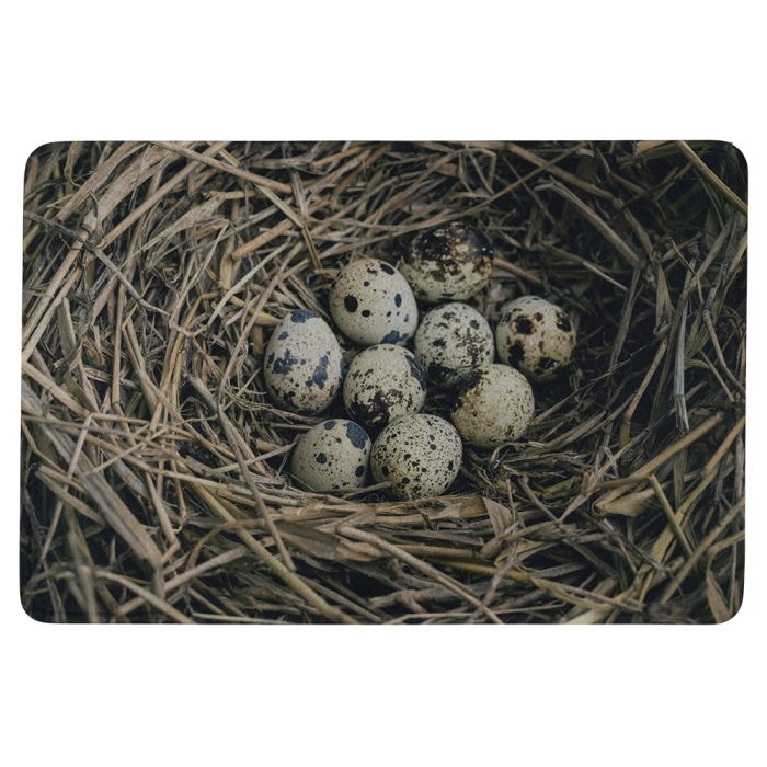 doormat eggs in nest 75x50cm