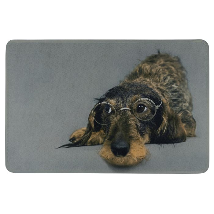 doormat humour wire haired dachshund glasses 75x50cm