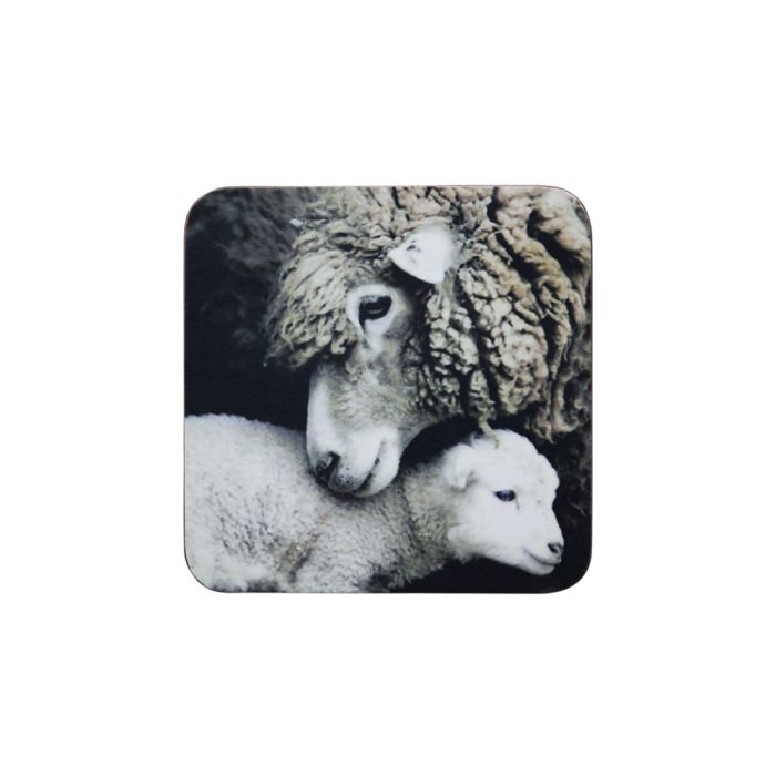 coaster sheep and lamb 10x10cm (6)