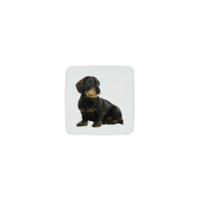 coaster dachshund 10x10cm (6)