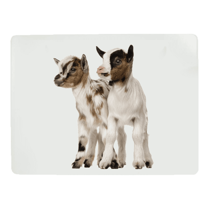 placemet dwarf goat 30x40cm (4)
