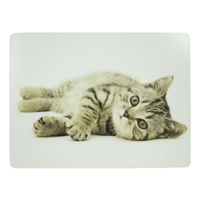 placemat kitten laying 30x40cm (4)