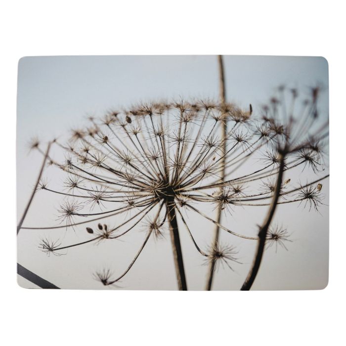 placemat nature hogweed 30x40cm (4)