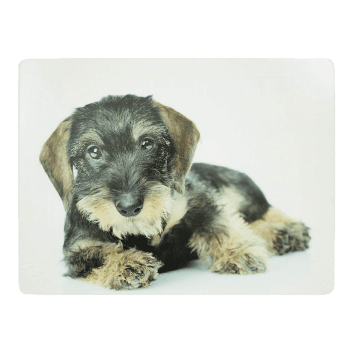 placemat dachshund 30x40cm (4)